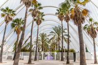 Valencia18-20