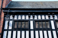 Chester-6