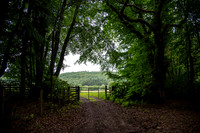 Homepage-63