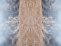 Visions-15
