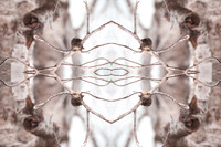 Visions-11