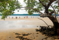 Guanacaste