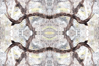 Visions-10